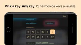 harmonica iphone screenshot 4