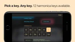 harmonica iphone resimleri 4