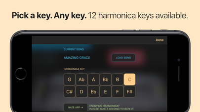 Harmonica Screenshot 4