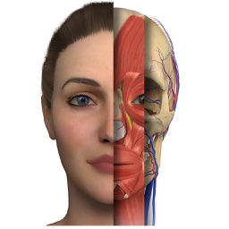 İNTERAKTİF ANATOMİ