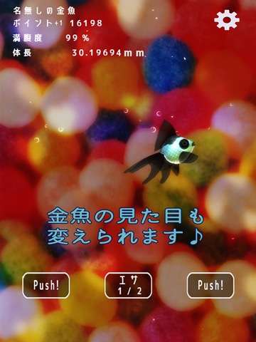 金魚ドリームのおすすめ画像1