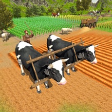Activities of Village Farmers Simulator 3D