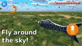 Game screenshot Flying Carp mod apk