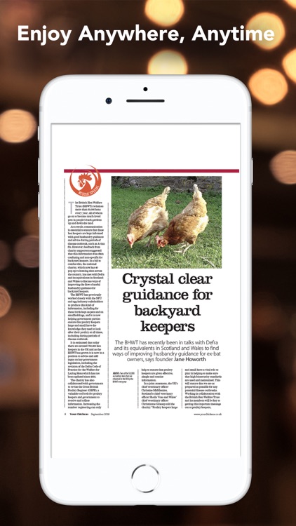 Your Chickens Magazine