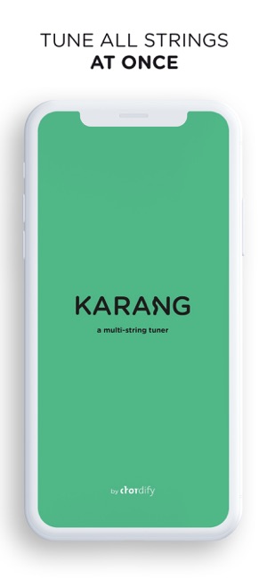 Guitar Tuner - Karang