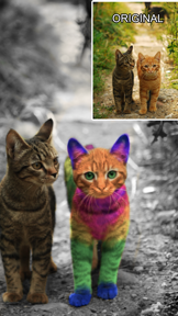 Color Effects - Photo Editor screenshot