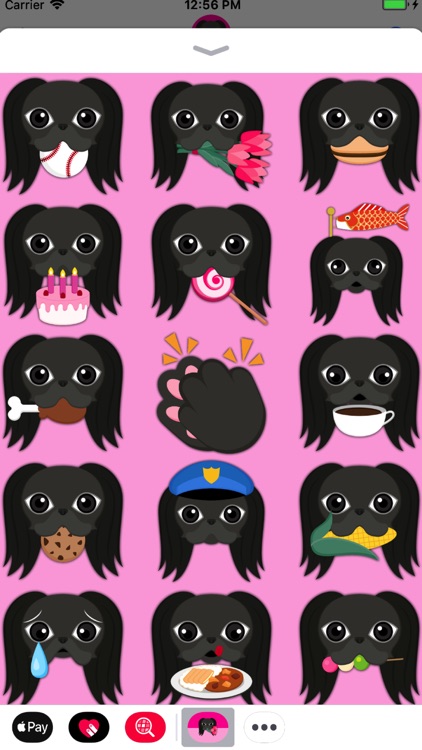 Black Japanese Chin