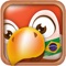 Icon Learn Portuguese Phrases