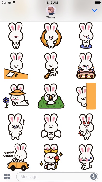 Sunny the Bunny