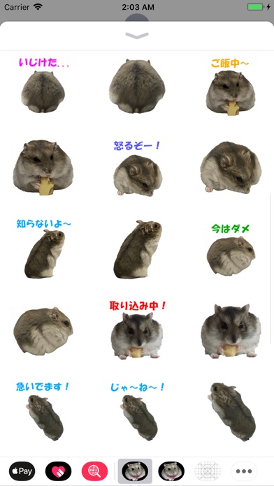 hamster01 screenshot 2