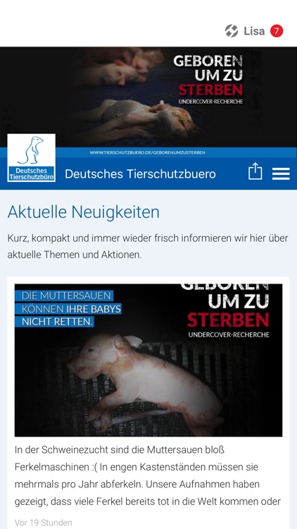 Deutsches Tierschutzbuero