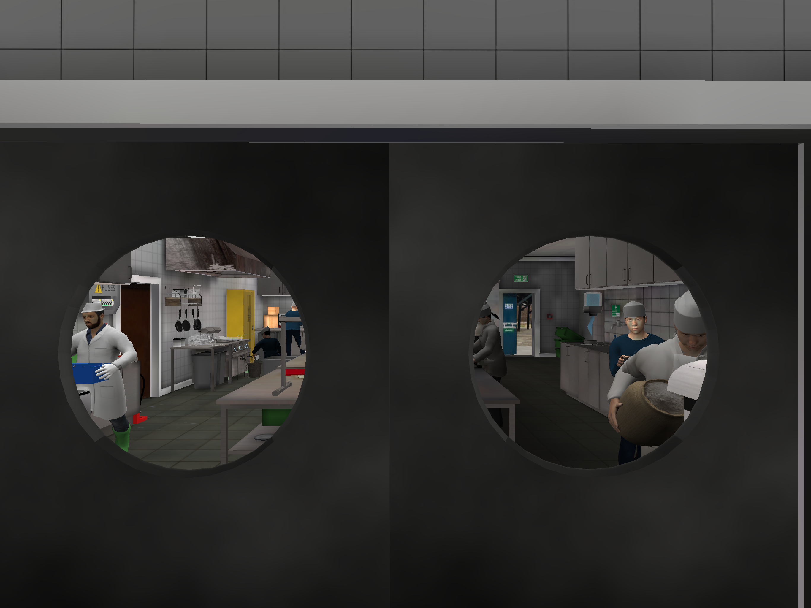 VR Risk Assessment