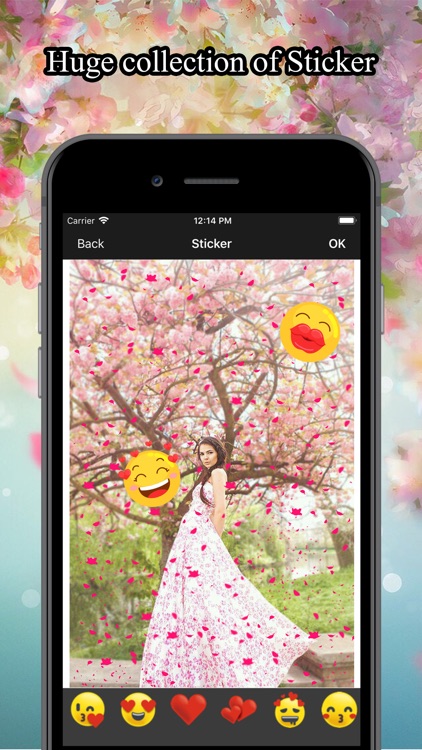 Flower Rain Effect Pic Editor screenshot-3