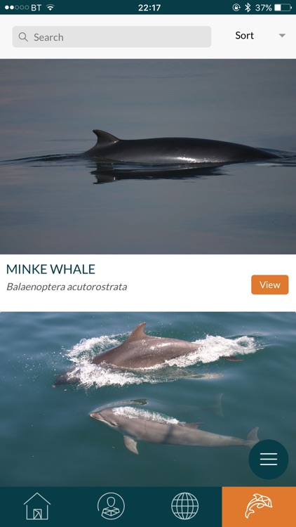 Whale Track