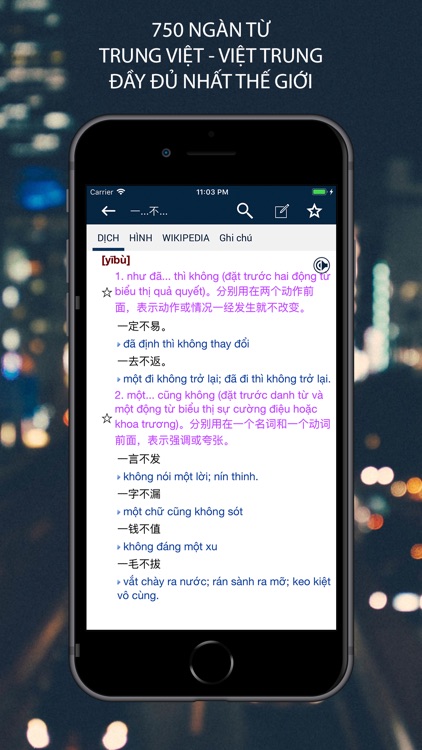 Từ Điển Trung Việt PRO - VDICT