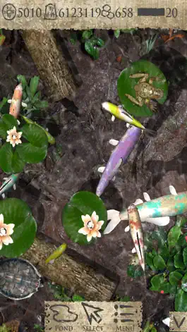 Game screenshot Pocket Pond 2 mod apk