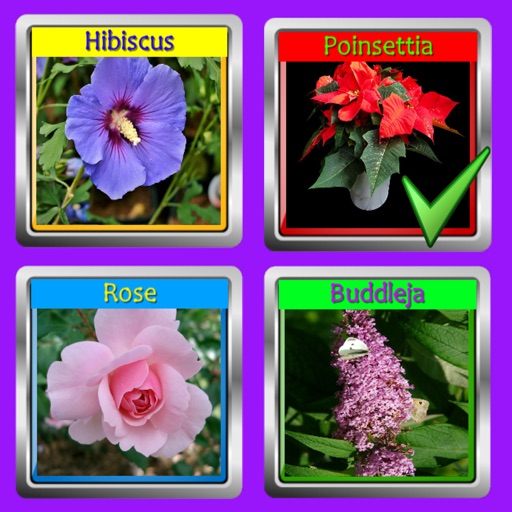 The Garden Quiz: Flowers iOS App