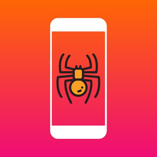 Spider on Screen Prank