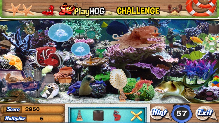Sea Life Hidden Objects Games
