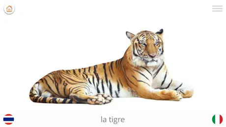 Gioca e Impara THAI