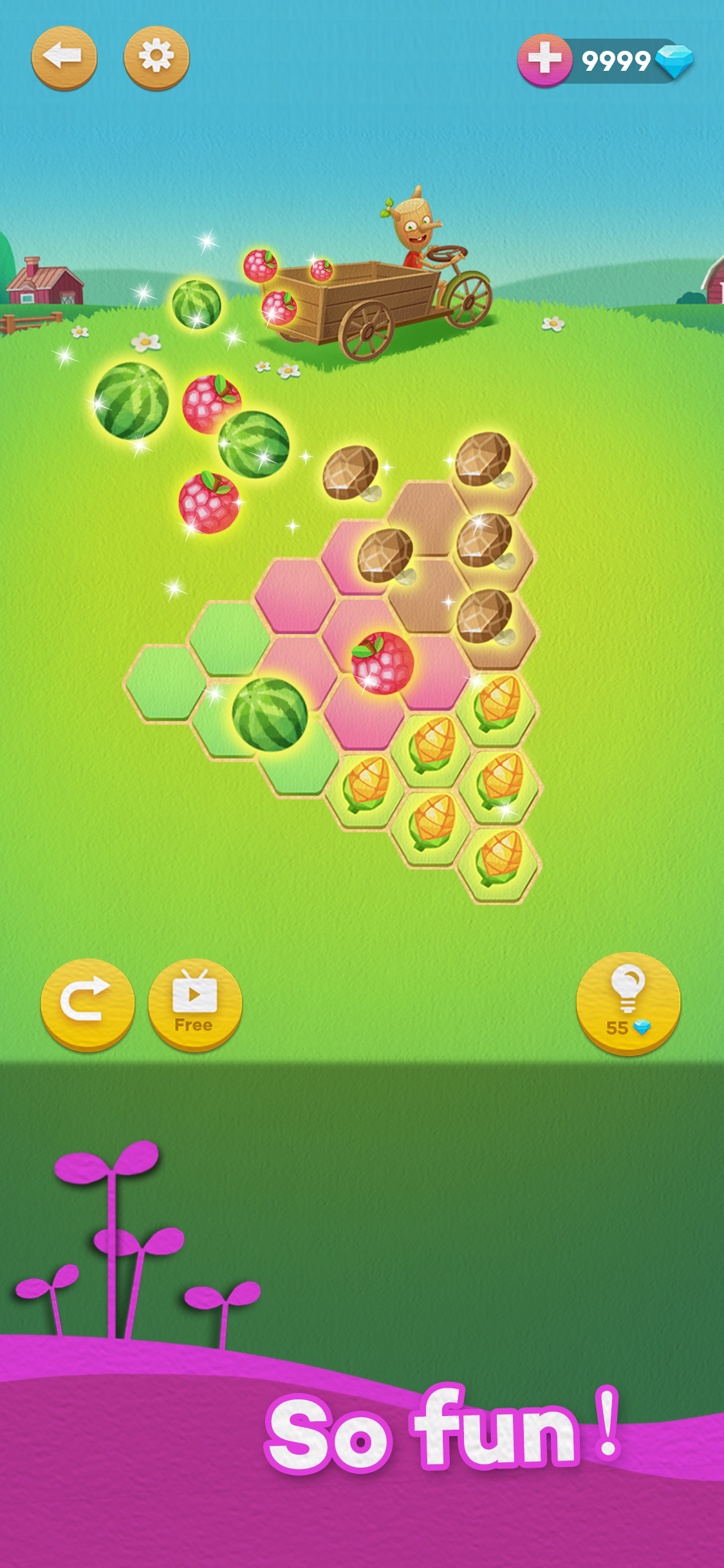 Hexa Farm :Simple Block Puzzle