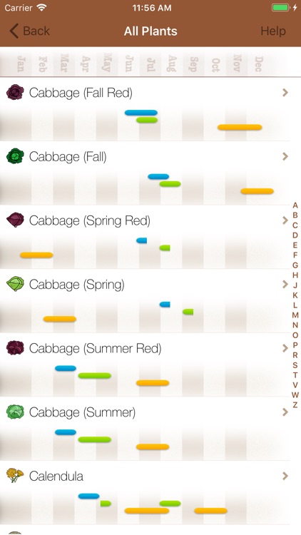 When To Plant
