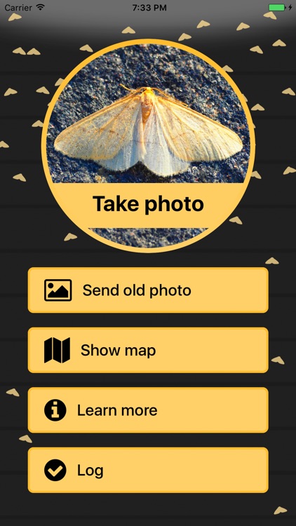 Målerjakt - Moth Hunt