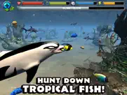 dolphin simulator ipad capturas de pantalla 4