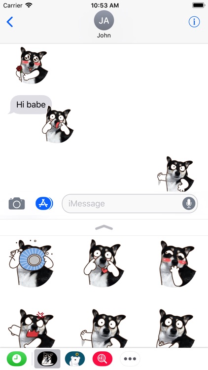Husky Dog Animated Stickers