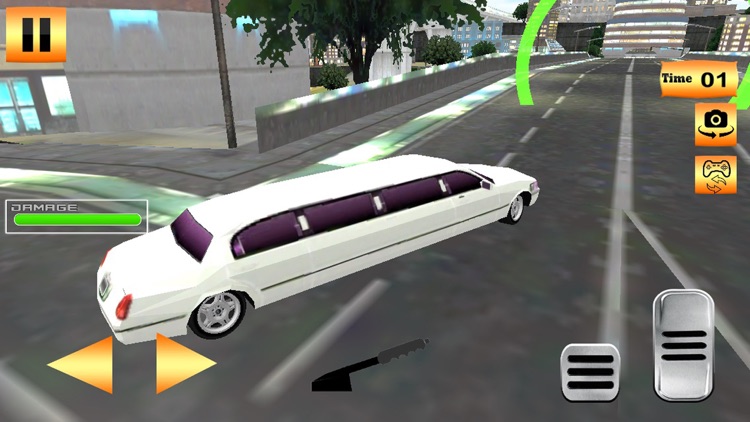 Limo Expert Taxi Rider