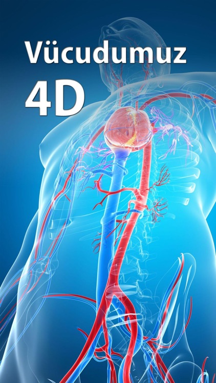 Vucudumuz 4D