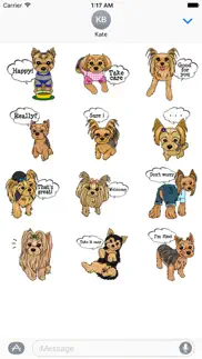 yorkshire terrier dog dogmoji problems & solutions and troubleshooting guide - 2