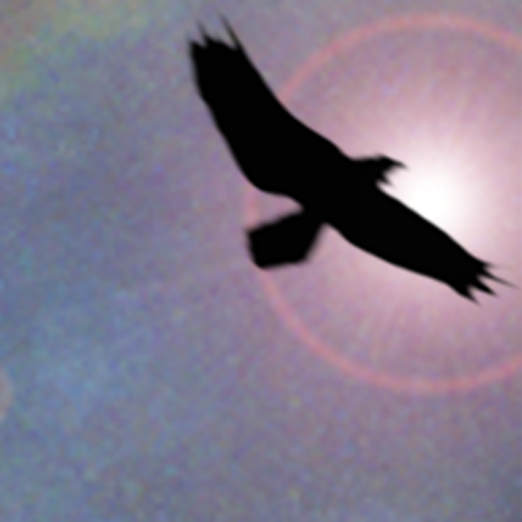 Get Shamanic Journey Drumming - Frauke Rotwein for iOS, iPhone, iPad Aso Report