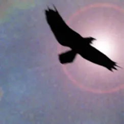 Shamanic Journey Drumming - Frauke Rotwein uygulama incelemesi
