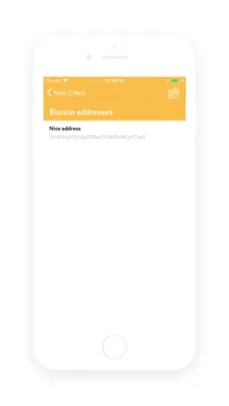 Nice Client screenshot 5