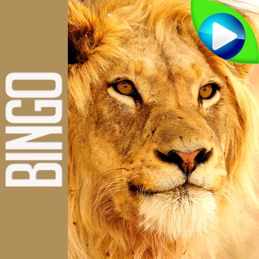 ANIMAL BINGO - Live Animal Bingo & Slots! Icon