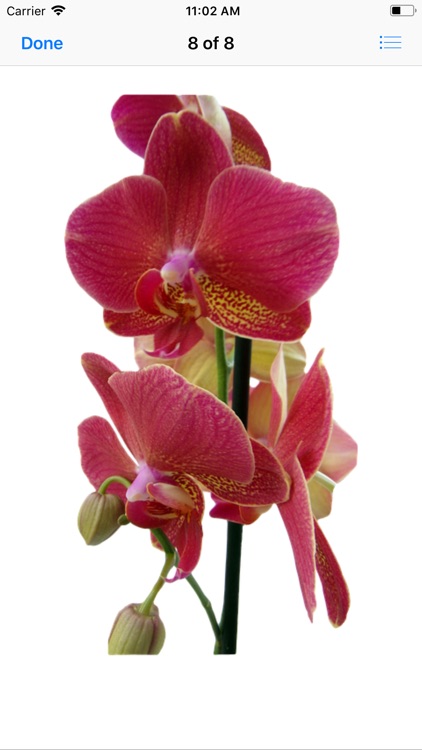 Orchid Stickers screenshot-8