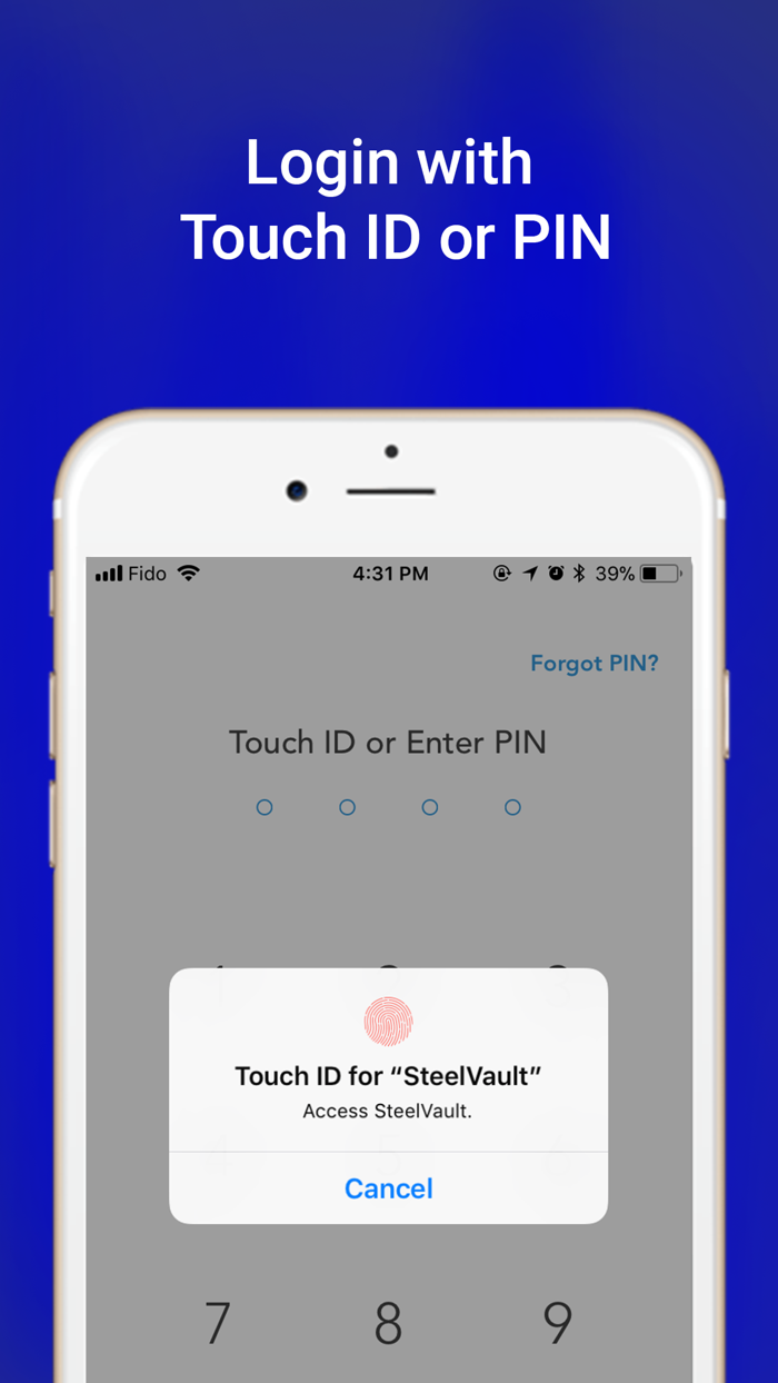 SteelVault hide photos and files