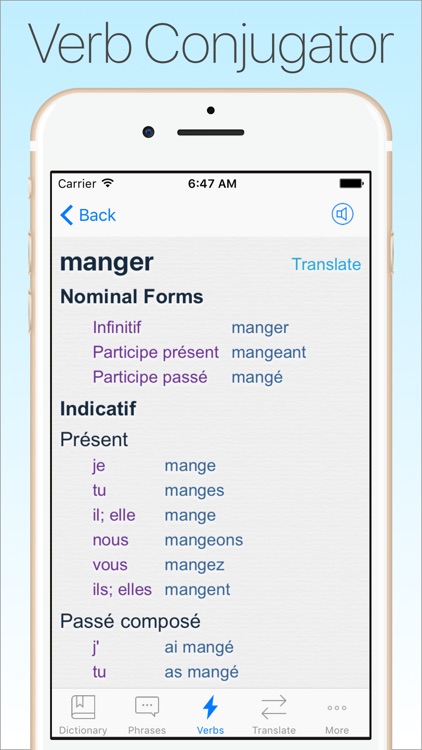 French Dictionary & Translator + screenshot-3