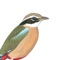The eGuide to Birds of the Indian Subcontinent is an interactive companion to Birds of the Indian Subcontinent – the definitive guide for birdwatchers visiting the region