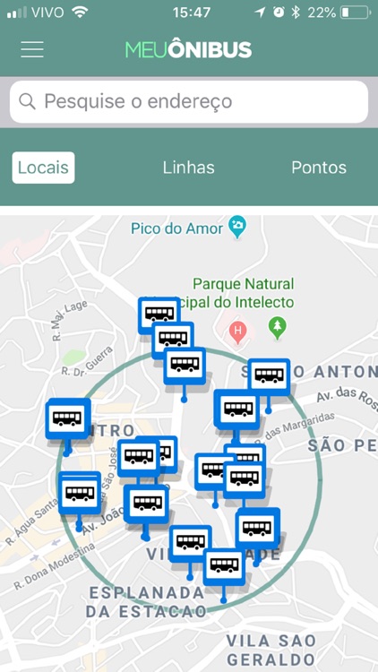 Meu Ônibus Cisne