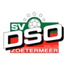 DSO Businessclub