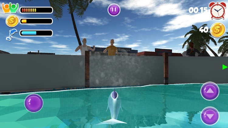 Dolphin show dolphin games 3D screenshot-3