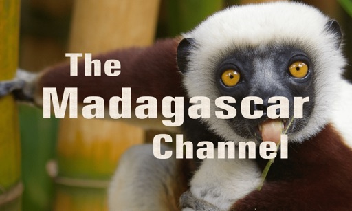 The Madagascar Channel icon