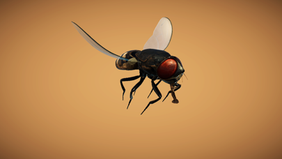How to cancel & delete MetaMorphos from iphone & ipad 3
