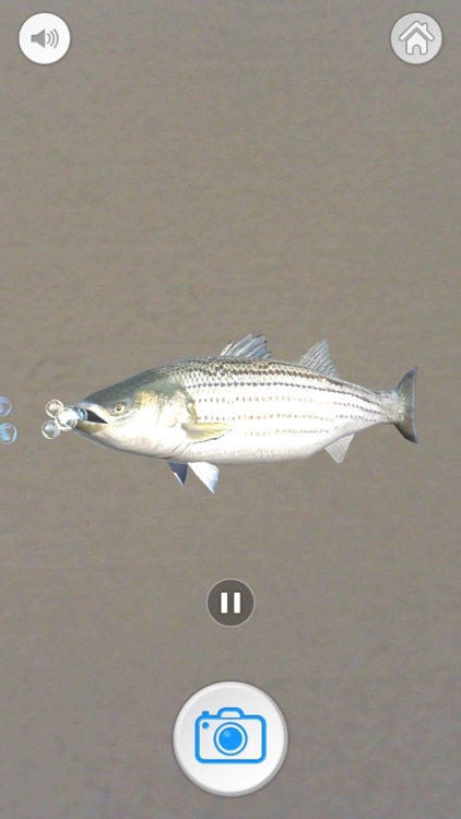 茄萣白砂崙遊憩導覽 screenshot-5