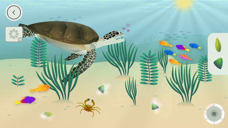 Coral Reef by Tinybop screenshot-4