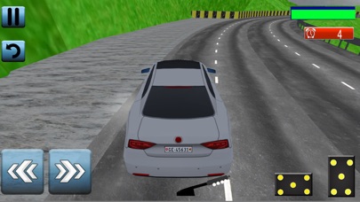 Passenger Car Parking 3D screenshot 4
