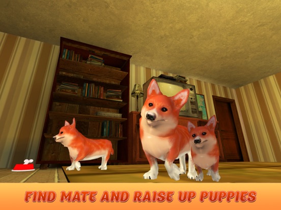 Corgi Protecc, A Short Survival Game