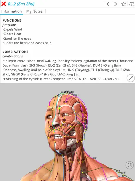 Visual Acupuncture 3D